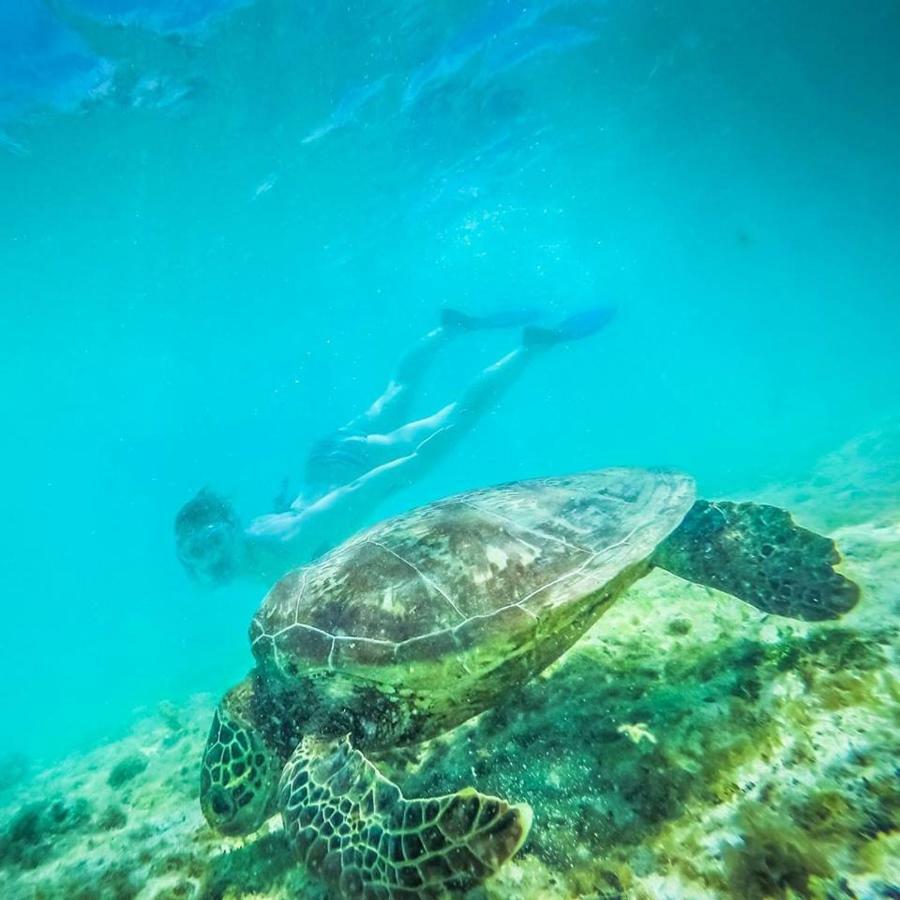 Tailua Beach Fales Manase Εξωτερικό φωτογραφία